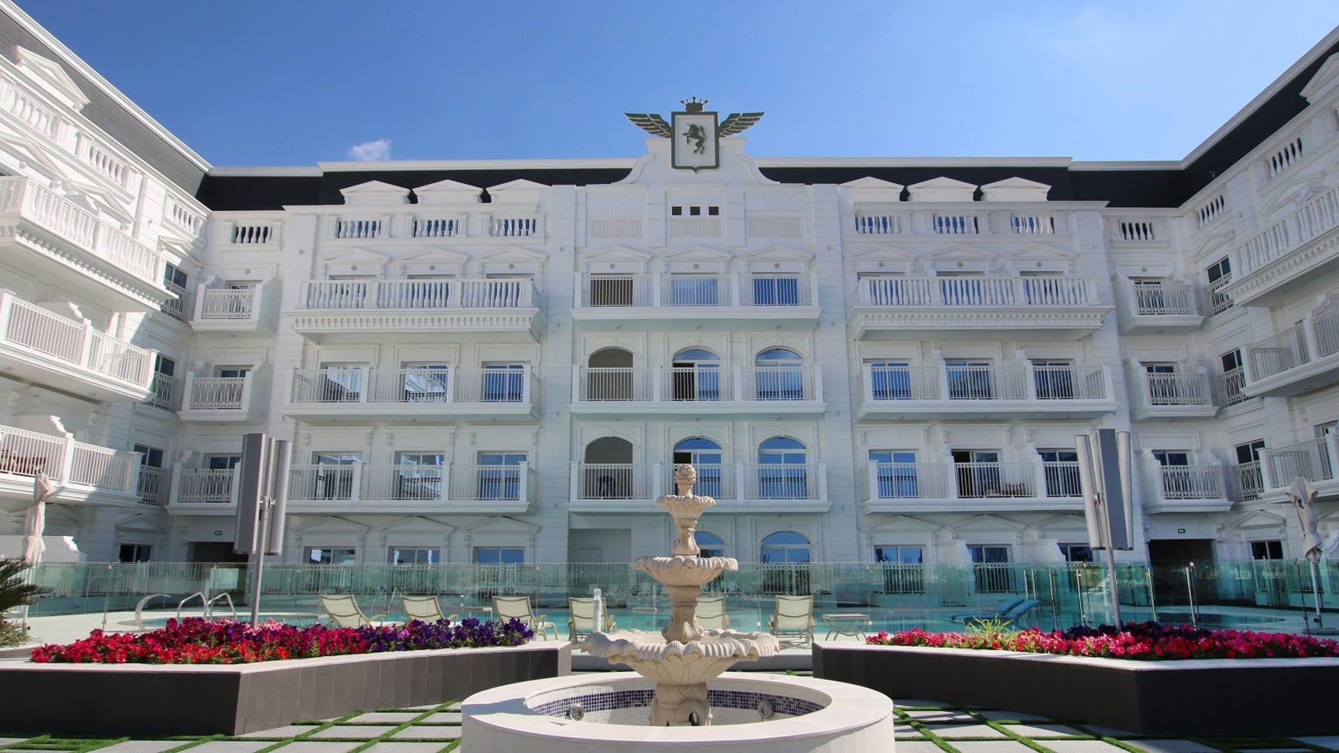 Vincitore Palacio